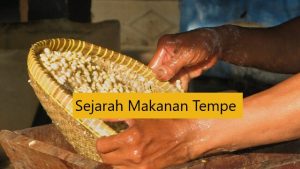 Sejarah Tempe