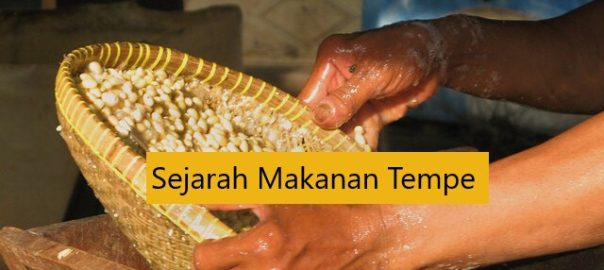 Sejarah Tempe