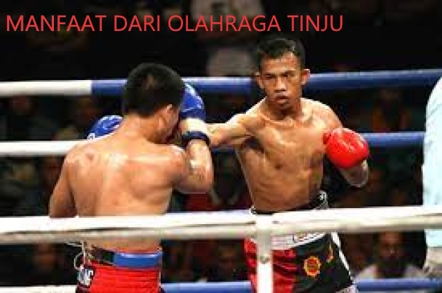 MANFAAT DARI OLAHRAGA TINJU